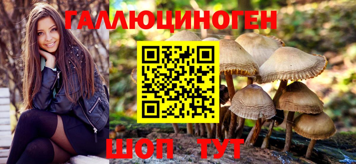 Галлюциногенные грибы GOLDEN TEACHER  Псилоцибиновые грибы мицелий  цена   Вход с VPN  Карачаевск 