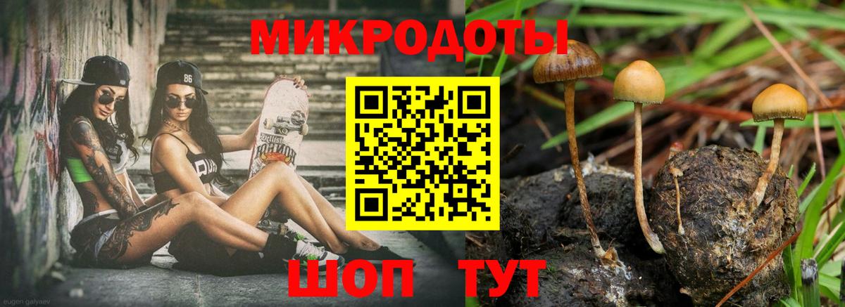 Галлюциногенные грибы GOLDEN TEACHER Карачаевск